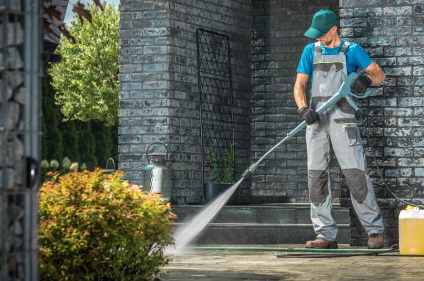 Best Graffiti Removal  in Ohatchee, AL